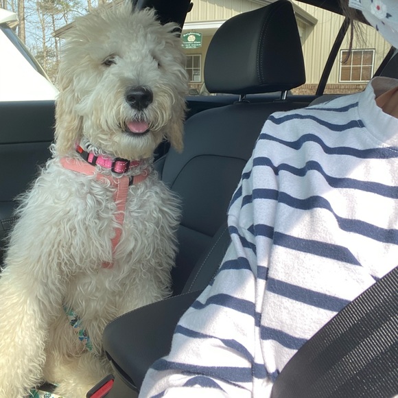 Welcome ☀️ - Picture 2 of 16